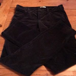 Vince.   Skinny Black Velveteen